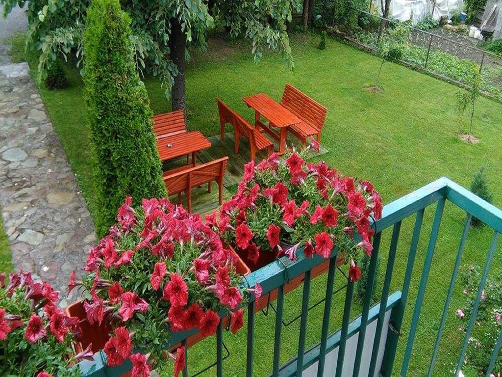 Apartments Radovic Колашин Экстерьер фото